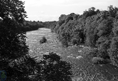 River Tees from Winston Bridge